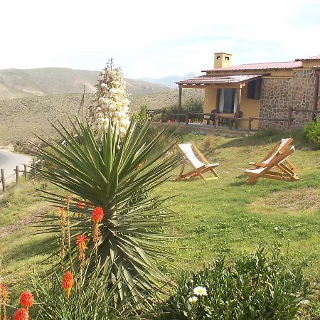 Cabanas Balcones De Tafi 타피델발레 외부 사진